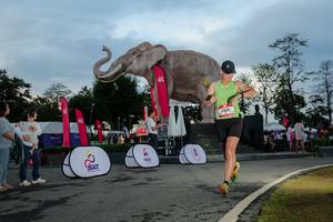 BIB: 
                            <button type="button" onclick="openModal(26529462)" class="btn btn-primary btn-sm float-right btn-popup" data-toggle="modal" data-target=".modal-high-quality">
                        <i class="fas fa-shopping-cart"></i> Add to Cart
                    </button>
                                            <button type="button" onclick="isThisMe(26529462, true)" class="btn btn-success btn-sm float-right btn-popup btn-isme hidden" data-toggle="tooltip" data-placement="bottom" title="นี่คือรูปของคุณใช่ไหม คลิกที่นี่เพื่อเอาเข้าอัลบั้ม">
                        <i class="fas fa-plus"></i> Add to album
                    </button>
                    <button type="button" onclick="isThisMe(26529462, false)" class="btn btn-warning btn-sm float-right btn-popup btn-isnotme hidden">
                        <i class="fas fa-ban"></i> Remove from album
                    </button>